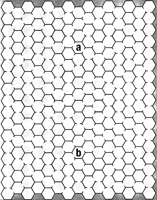 maze: complex honeycomb